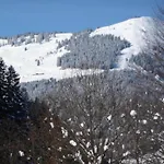 In Near Lift *