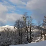 In Near Lift
