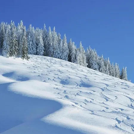 Horská chata In Near Lift Saalbach-Hinterglemm
