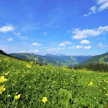 Horská chata In Near Lift Saalbach-Hinterglemm