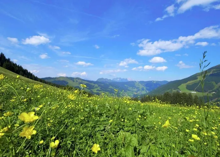 シャレー In Near Lift ザールバッハ・ヒンターグレム