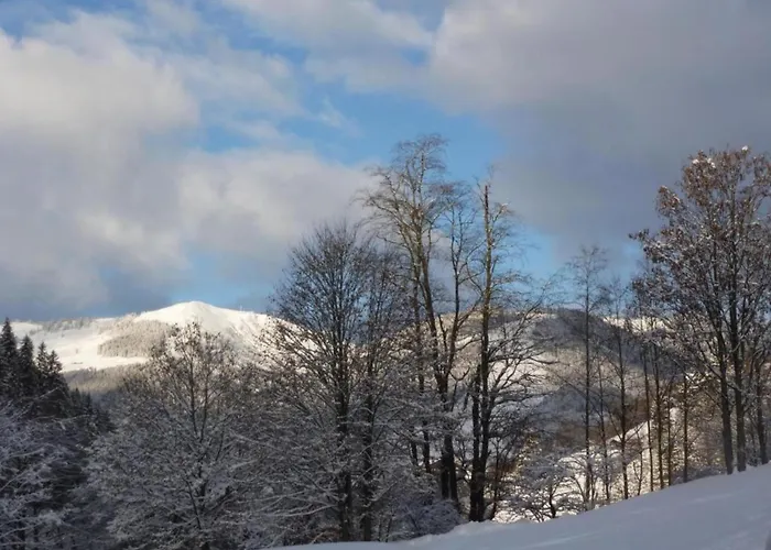 In Near Lift